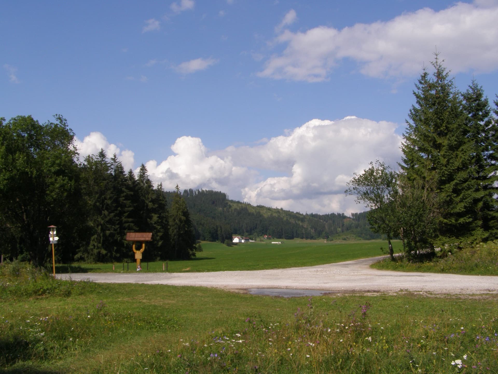 Cesta lúkami a lesmi Muránskej planiny