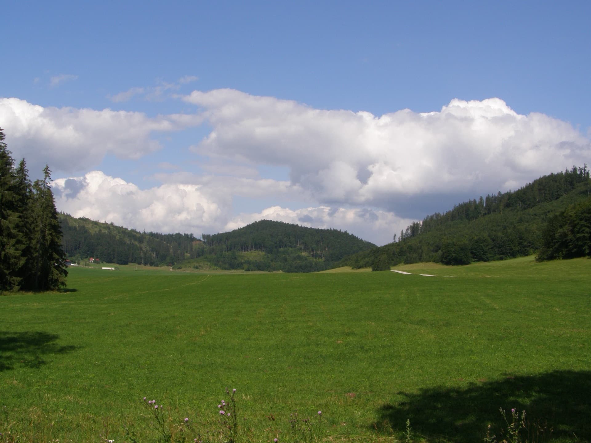 Rozľahlá lúka a kopce Muránskej planiny