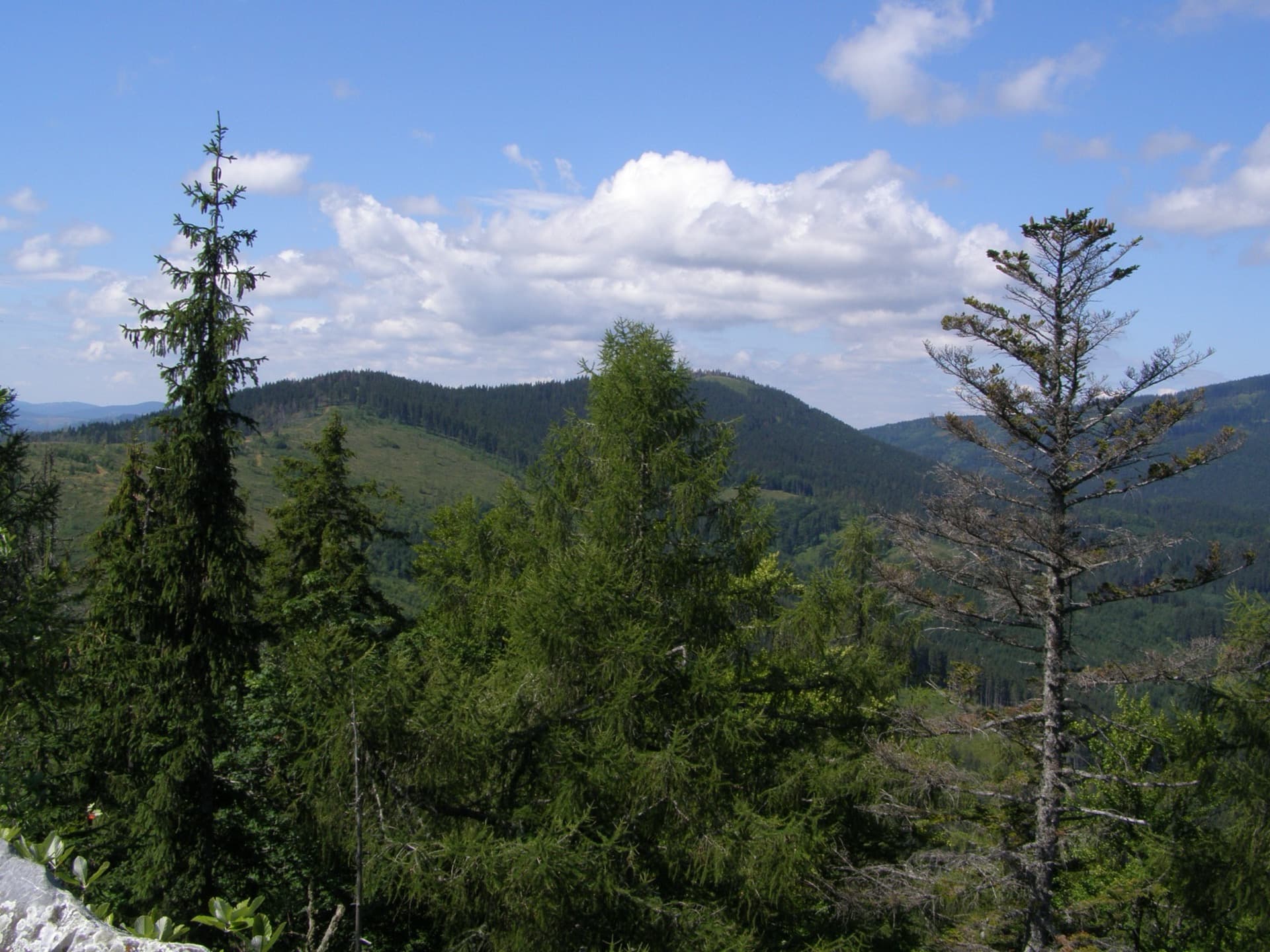 Výhľad na zalesnené kopce Gemera